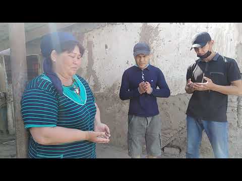 Видео: Хожели. Комбинат