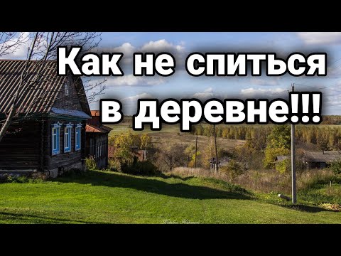 Видео: Как вырастить и продать тюльпаны живя в деревне!!!