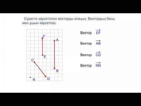 Видео: Вектор.Вектор ұғымы