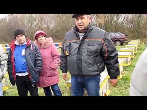 Видео: На пасеке Василия Ничика. Какие Преимущества пчеловодства в камышовых ульях?