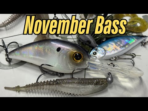 Видео: Мне не следовало бы раскрывать эти секреты. Попробуйте эти советы, чтобы поймать больше окуня в н...