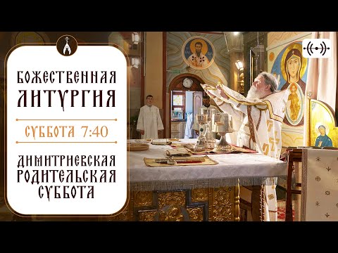 Видео: БОЖЕСТВЕННАЯ ЛИТУРГИЯ. ПАНИХИДА. Трансляция 2 ноября (суббота) в 06:50