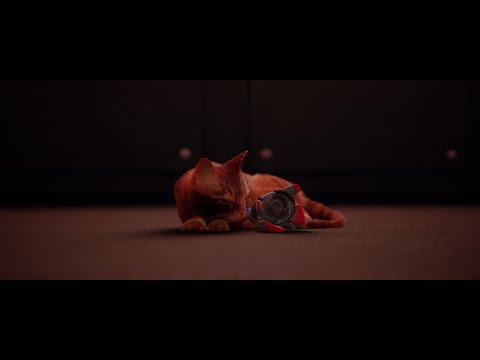 Видео: Грустный финал игры - Stray #9