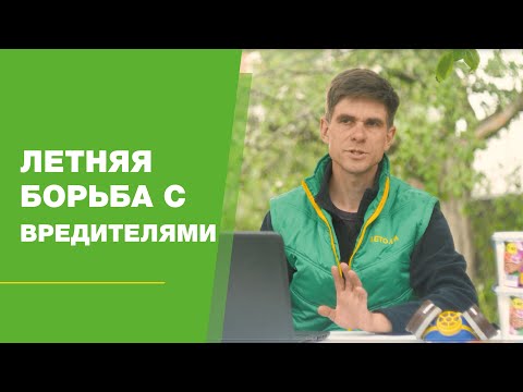 Видео: Летняя борьба с вредителями FullHD