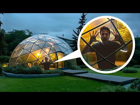 Видео: Самый странный научный эксперимент, который превратился в кошмар