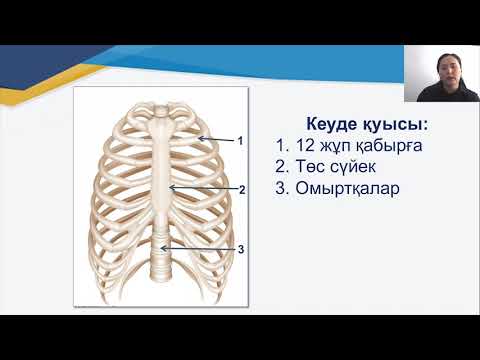 Видео: III тоқсан, Биология, 8 сынып, Қозғалыс  Биофизика