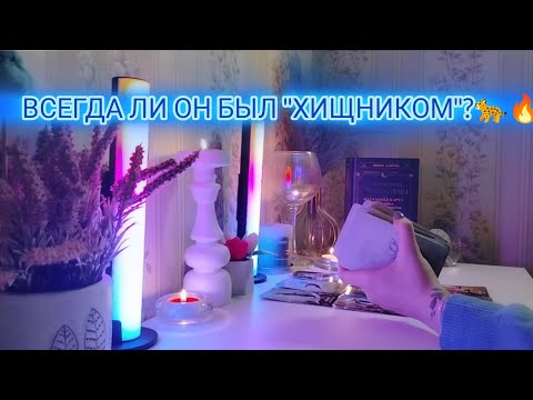 Видео: ВСЕГДА ЛИ ОН БЫЛ "ХИЩНИКОМ"?🐆🔥