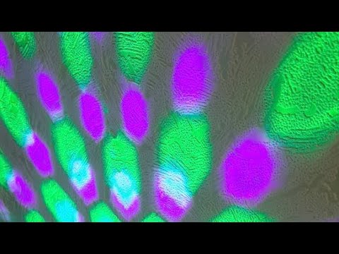 Видео: Его Отношение К Вам На Сегодняшний день💌