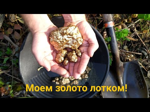 Видео: #Золото_лотком (правила промывки) Gold Panning