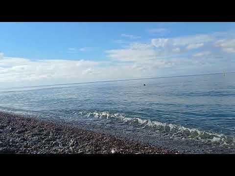Видео: 30 сентября 2025 г.