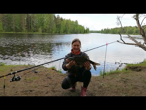 Видео: Лещ-крупняк! Рыбачим на Юхоти.