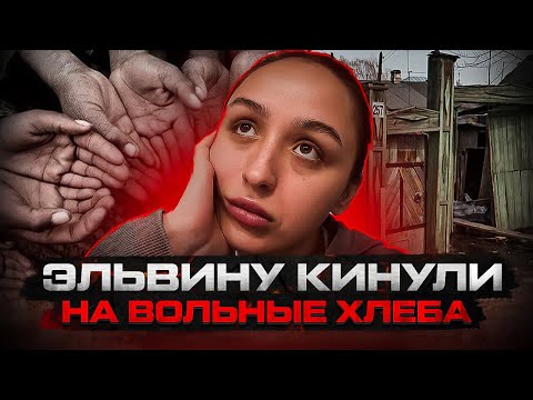 Видео: Как ЭЛЬВИНУ отрезали от КОРМУШКИ
