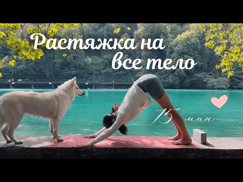 Видео: ЙОГА - РАСТЯЖКА на ВСЕ тело за 15 минут 🤍 Йога для отличного настроения!