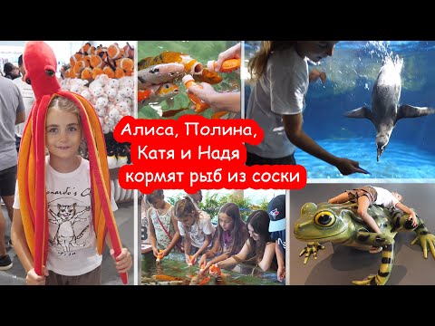 Видео: VLOG Алиса стала ребенком из 99 ночей. Алиса, Полина и Надя в океанариуме Барселоны