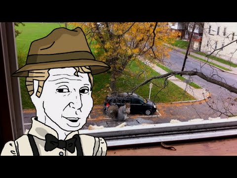 Видео: Скабрезлость переехал в Грузию | Первые впечатления