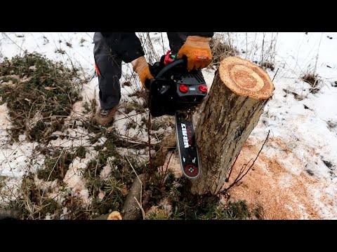 Видео: Вот как реально работает бензопила VITALS bkz 2511s