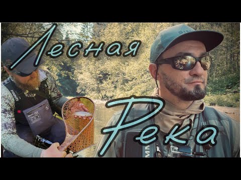 Видео: РЫБАЛКА С НОЧЁВКОЙ. ФОРЕЛЬ НА СПИННИНГ. Прошли маршрут 19,8км за два дня, с двумя ночевками в лесу.