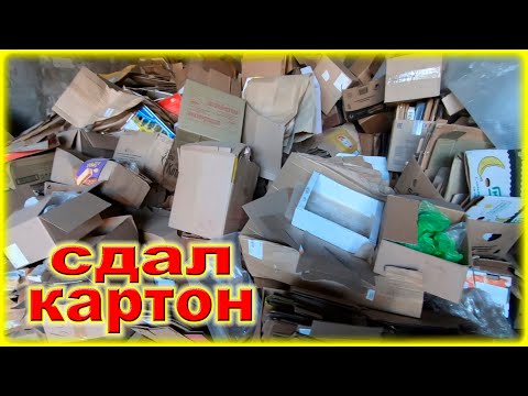 Видео: Бизнес на КАРТОНЕ. Сколько можно заработать ДЕНЕГ