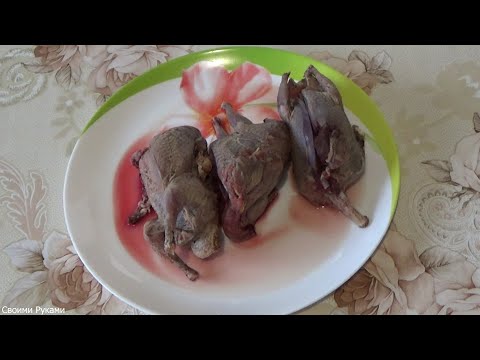 Видео: ДИЧЬ ГОРЯЧЕГО КОПЧЕНИЯ. Коптим дикого голубя - горлицу.