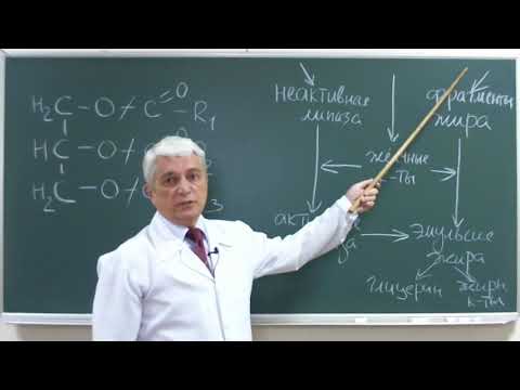 Видео: 13:50  Липиды 2