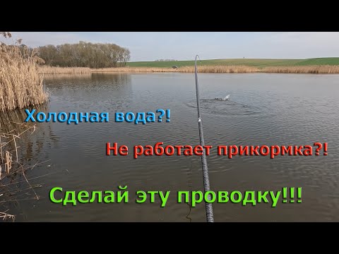 Видео: КАРП в марте на удочку с БОКОВЫМ кивком. Без ПРИКОРМКИ, на результативную ПРОВОДКУ! Где стоит рыба?