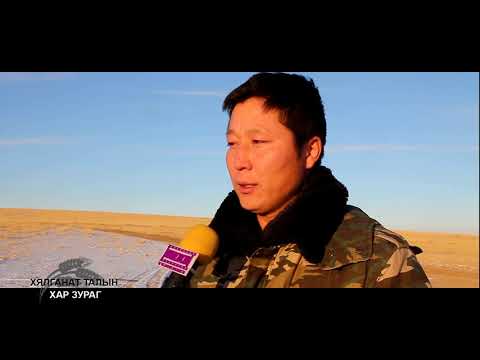 Видео: 170105 ХЯЛГАНАТ ТАЛЫН ХАР ЗУРАГ 2