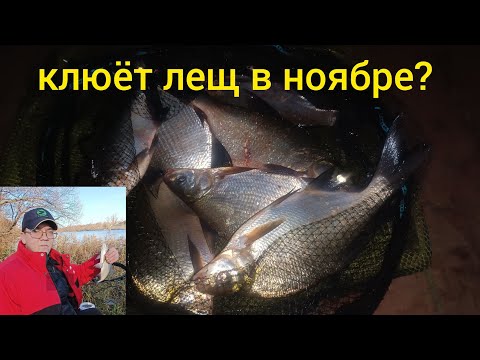 Видео: Наковырял леща в ноябре