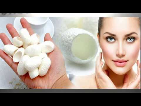 Видео: Коконы шелкопряда. Для чего нужны, как использовать!