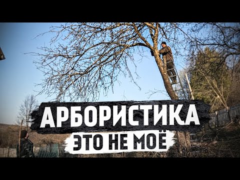 Видео: Заберите у него пилу, участок преобразился и стал больше