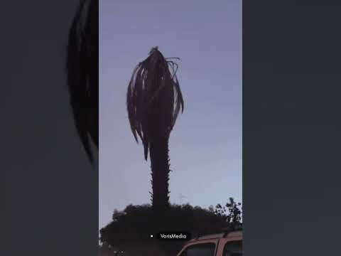 Видео: Росулуллоҳ соллаллоҳу алайҳи ва салламнинг дуоси.      Акрамжон домла