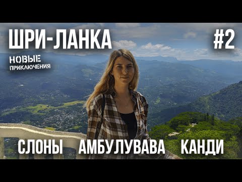 Видео: ШРИ-ЛАНКА 2023 #2. СЛОНЫ ПРЯМО В ОТЕЛЕ. ПИНАВЕЛЛА. БАШНЯ АМБУЛУВАВА. КАНДИ. БОТАНИЧЕСКИЙ САД. ХРАМ.