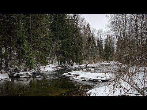 Видео: Ловля форели, рыбалка в глухозимье, спиннинг зимой.