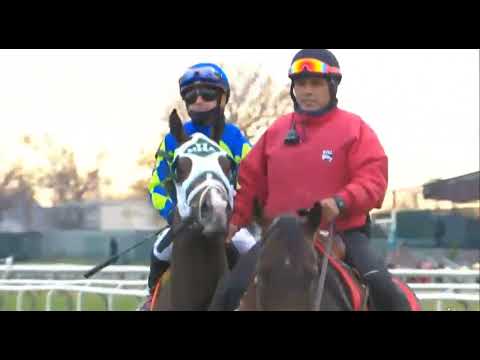 Видео: R6 AQUEDUCT США 12 НОЯБРЯ 2025