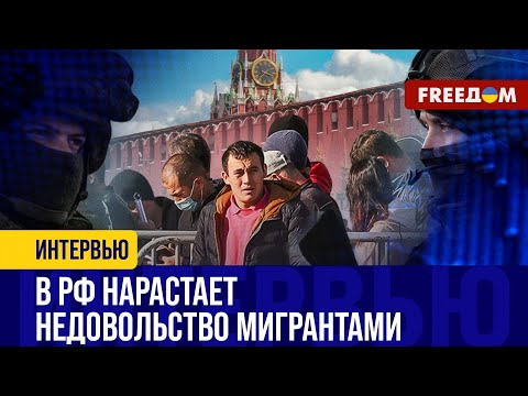 Видео: Завоз МИГРАНТОВ будет ОБОСТРЯТЬСЯ: более 200 ТЫСЯЧ рабочих мест в РФ НЕ ЗАКРЫТО