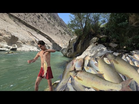 Видео: Речная рыбалка: захватывающее дух приключение по ловле гигантской рыбы