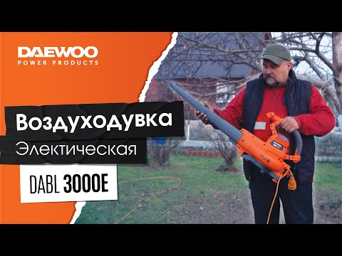 Видео: Хорошая альтернатива бензиновой воздуходувке — DAEWOO DABL 3000E