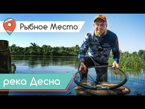 Видео: СУПЕР КЛЕВ ЛЕЩА на Десне. Ловля на фидер в кайф! Рыбное место.