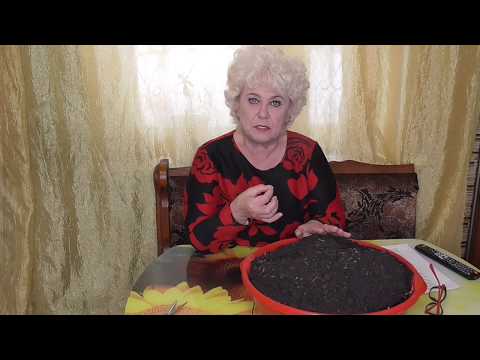 Видео: Готовимся к посевам. Начинаю готовить грунт для рассады.