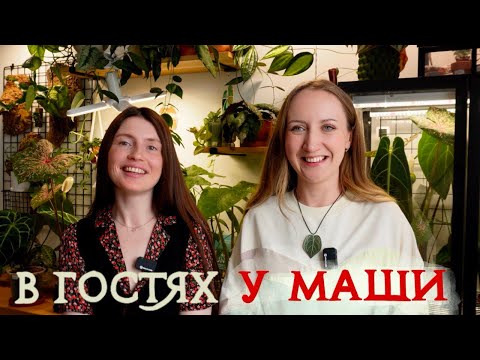 Видео: В гостях у ЦВЕТОВОДА | обзор РАСТЕНИЙ