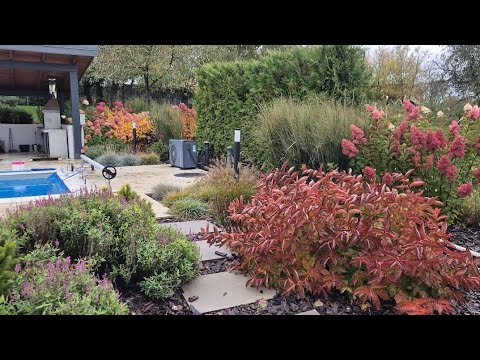Видео: Сад в середині жовтня 🍁🍂🍃 #сад #садгород #garden #gardening #landscaping #hydrangea #гортензія
