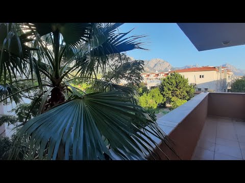 Видео: Кемер. Отель ARES DREAM. Номер, чем кормят, территория.