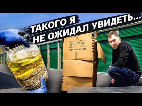 Видео: Контейнер за $50 / Купил кунсткамеру / Аукционы в США 1.40