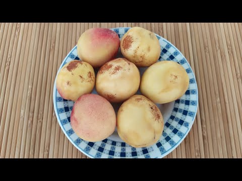 Видео: Очень вкусный! Персиковый абрикос - мое открытие года