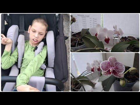 Видео: Наші будні 20 липня 2025