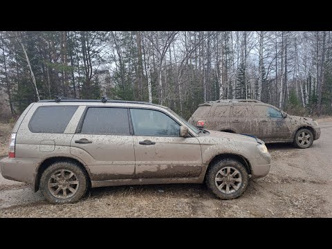 Видео: Лесник и Чужестранец. Режим "Д"-дикий2. Нам же ..... мало приключений. Спасибо тракторист. 28.04.24.