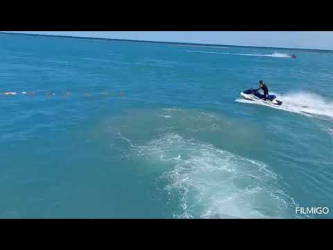 Видео: 31 августа 2025 г.