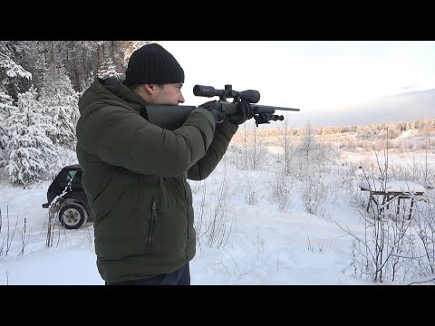 Видео: НОВЫЙ ПАТРОН, СТРЕЛЬБА В МОРОЗ ИЗ МЕЛКАШКИ. CZ-455 Stainless.