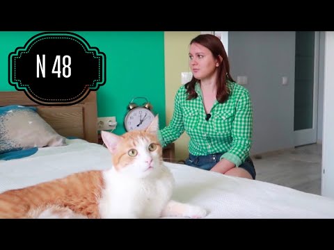 Видео: Очень УЮТНАЯ однушка. Румтур по однокомнатной квартире. RoomTour 48