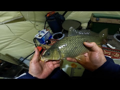 Видео: ЗИМНЯЯ РЫБАЛКА на САЗАНА с НОЧЁВКОЙ. 19.01.2025 г .