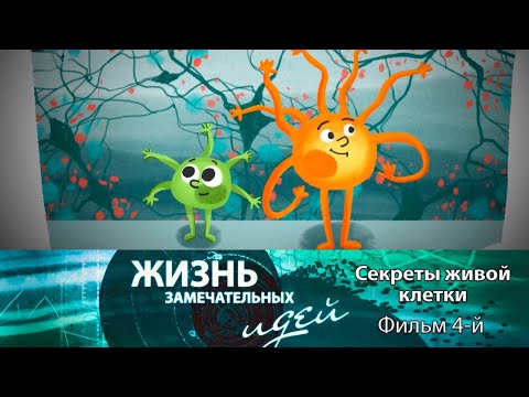 Видео: Жизнь замечательных идей "Секреты живой клетки" - Фильм 4-й @SMOTRIM_KULTURA